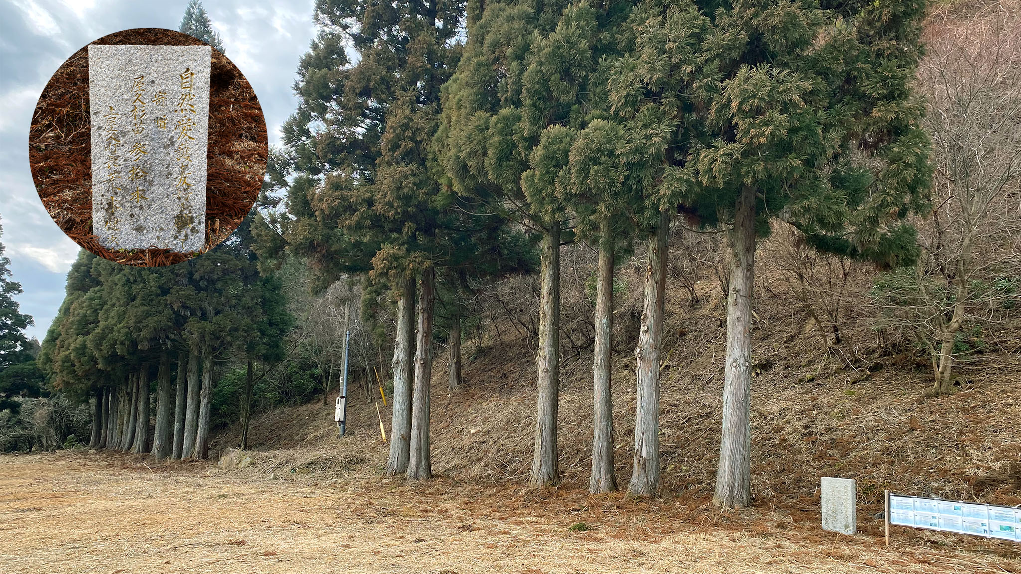 屋久杉探検ツアー